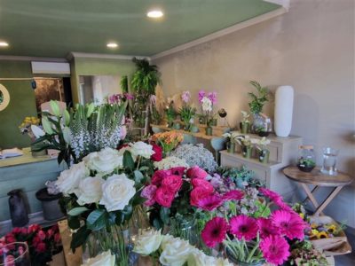 Vente fleuriste très bien implanté en sud Ardèche