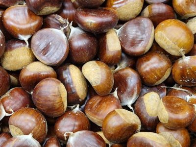 À vendre Primeur et produits locaux Sud Ardèche.
